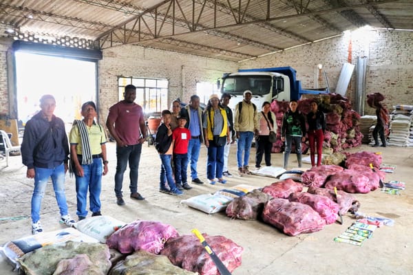 Más de 2.700 víctimas del conflicto en Cauca se benefician con proyectos agrícolas y de seguridad alimentaria