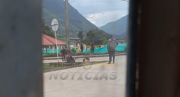 Preocupación en Santa Rosa, Cauca por restricciones del ELN