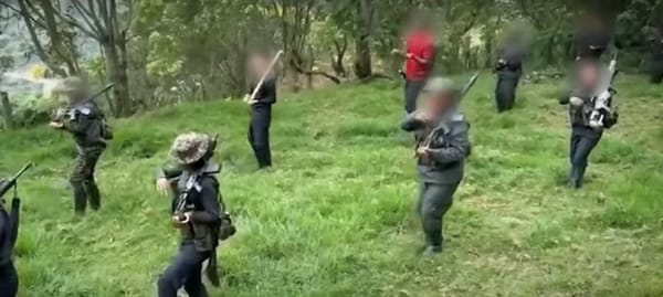 (Vídeo) Así funciona la escuela de niños de las Disidencias de las Farc en el Norte del Cauca