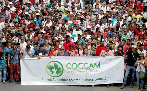 Campesinos de Cauca y Nariño se movilizan en Cali para luchar contra la fumigación de los cultivos ilícitos