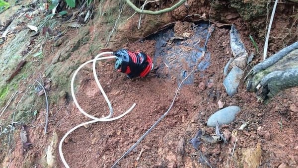 Argelia: una niña y dos adultos heridos tras caer en un campo minado