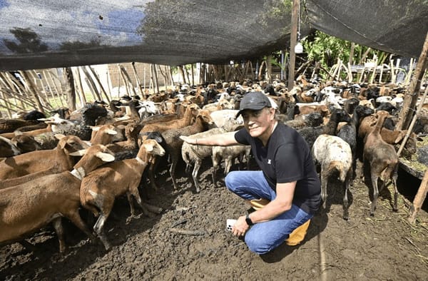 Prosperidad Social avanza en la lucha contra el hambre en el Magdalena