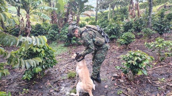 Ejército neutralizó explosivos cerca de la Panamericana en Nariño