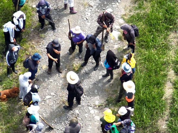 Ataques impiden el trabajo de 50 familias en Cajibío