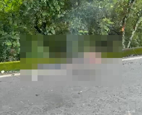 Qué espantoso, presunto guerrillero murió cuando intentaba atacar a la Policía con explosivos en Piedrasentada, Cauca