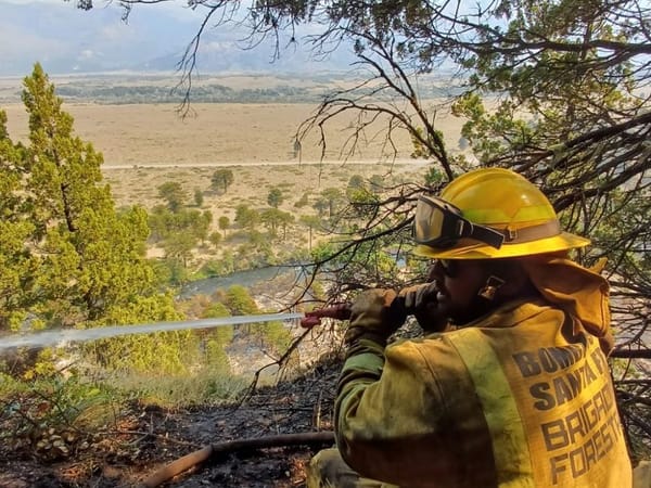 Incendios forestales tienen en jaque a la Patagonia argentina, donde ahora se registra una crisis ambiental