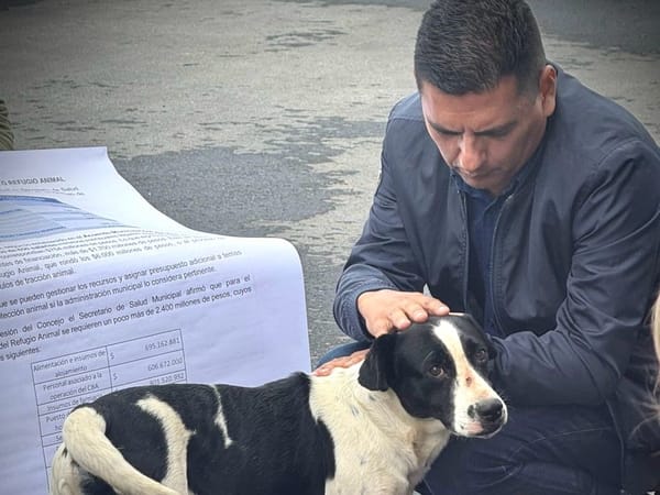 Pese a contar con recursos, el Centro de Bienestar Animal de Popayán sigue cerrado