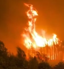 Gigantesco incendio forestal destruye amplias zonas de bosque