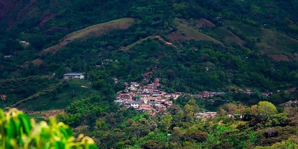 Ejército propina contundente golpe al ELN en San Miguel, La Vega, Cauca