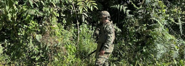 Así es cómo los militares desactivan campos minados en la zona rural de Argelia, Cauca