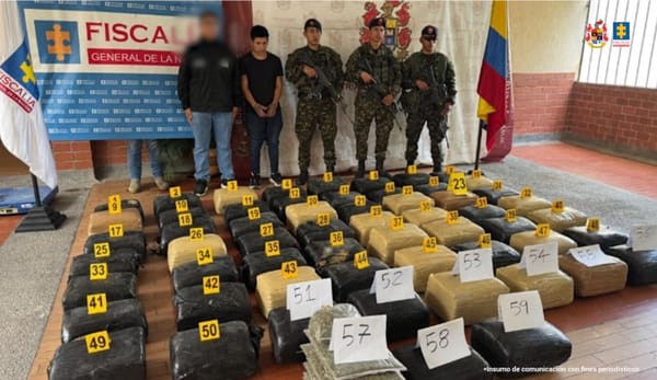 En Cauca fue asegurado presunto responsable de transportar 264 kilos de marihuana en un vehículo