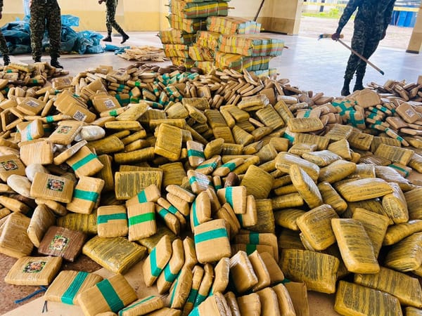 Golpe tras golpe al narcotráfico: Ejército Nacional incauta más de 2.5 toneladas de marihuana y 346 kilos de cocaína en Casanare