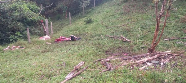 Denuncia pública por abigeato en la finca San Luis: comunidad exige acciones urgentes