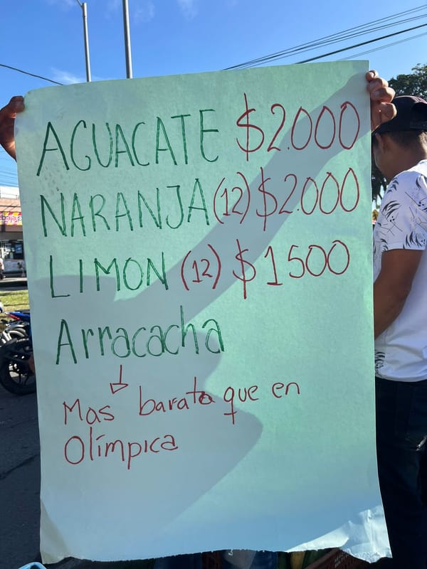 Campesinos y sectores populares se movilizaron pacíficamente en Popayán y Cali para exigir la Consulta Popular