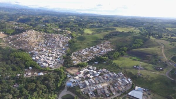 Preocupación en Popayán por la presencia de cultivos ilícitos en la zona rural
