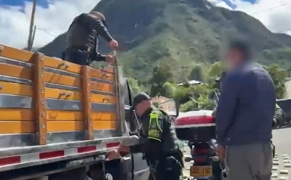 Captura en flagrancia e incautación de 102 paquetes de marihuana en el municipio de Mallama, Nariño