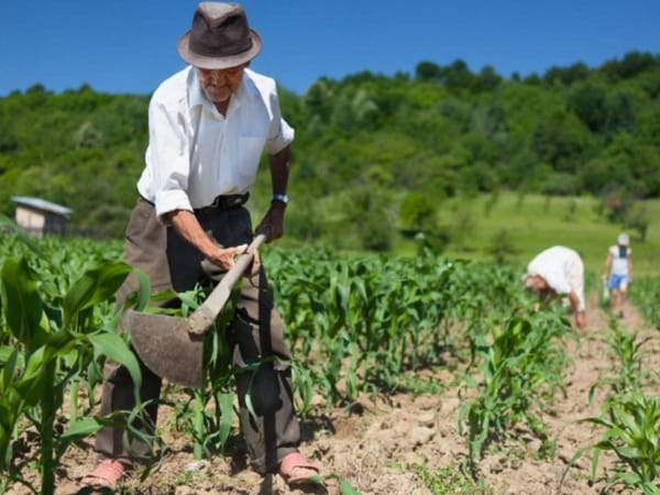En Colombia, la reforma agraria avanza pese a acaparadores de tierra