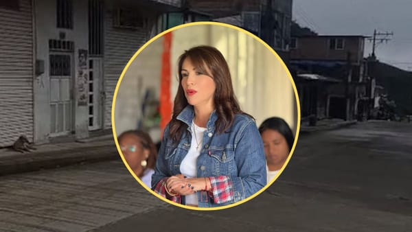 "Seguiremos con la arremetida militar, no vamos a salir de El Plateado", Maribel Perafán