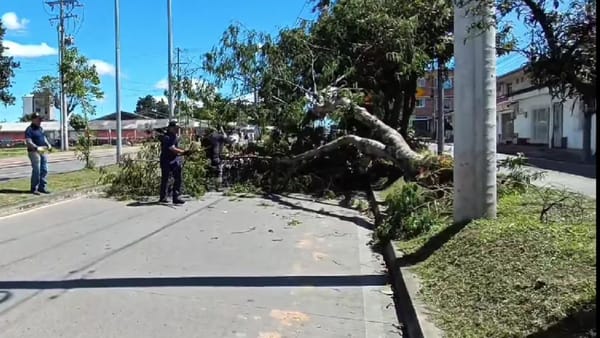 Popayán vivió una jornada de fuertes vientos pese a las lluvias: ¿se acerca el verano?