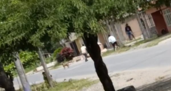 Vídeo: Así se enfrentan las pandillas en el norte del Cauca