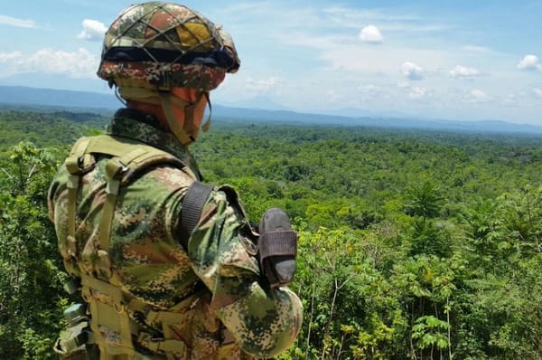 Cargan un burro con explosivos y después los accionan contra el  Ejército: un oficial murió y dos soldados resultaron heridos
