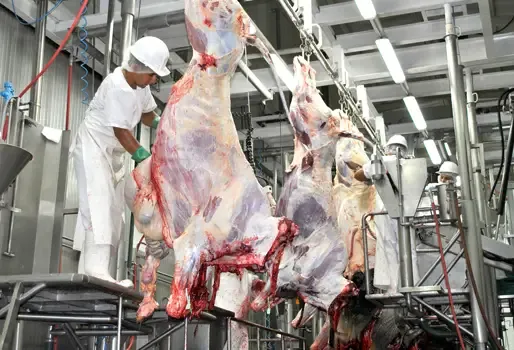 S.O.S. Matadero de Popayán: cambio sin licitación ni experiencia genera alarma