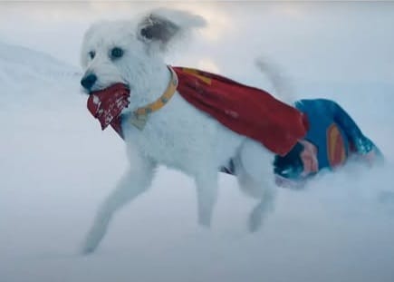 Krypto, el perro de Superman que ahora incentiva la adopción de mascotas