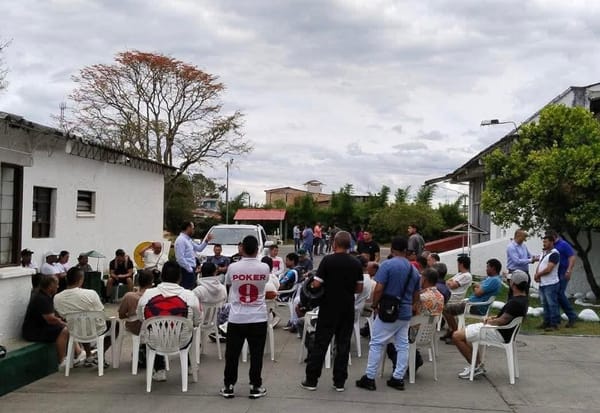 Alcaldía de Popayán no puede declarar urgencia manifiesta por el matadero municipal