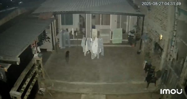 En video: así se vivió el fuerte sismo que sacudió a Popayán esta madrugada