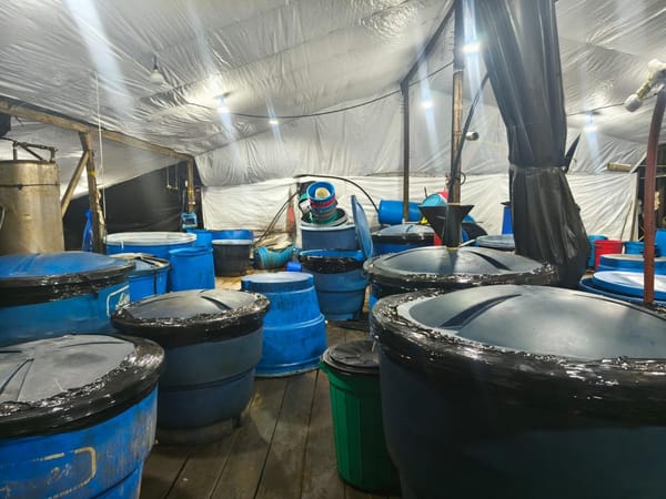 Ejército desmantela en El Tambo, Cauca el mayor megalaboratorio de cocaína del último año