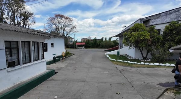 Cuidado donde compra carne: Alcaldía lanza urgente advertencia en Popayán