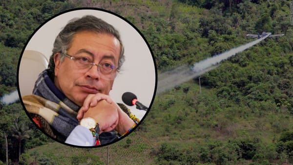 Petro podría ordenar fumigaciones con glifosato en el Cauca