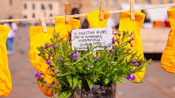 Los niños y niñas de Colombia y Palestina, centro de la conmemoración del día nacional de los derechos humanos