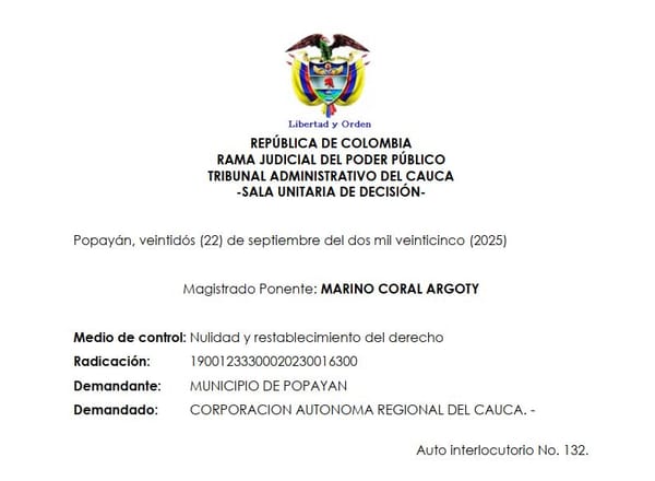 Tribunal del Cauca decreta suspensión provisional contra actos de la CRC por la Avenida de los Próceres