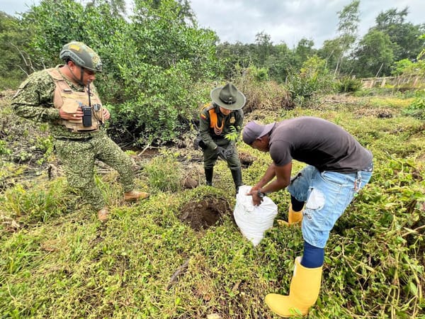 Con la siembra de 500 árboles, la Policía promueve la conservación de las fuentes hídricas