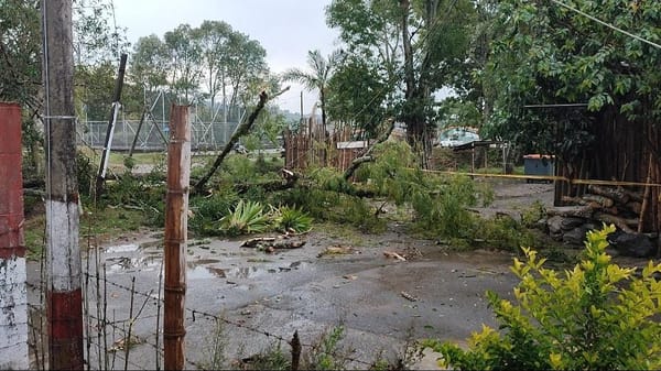 Cuatro barrios del oriente de Popayán sin energía: CEO no responde