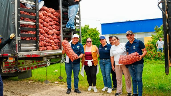 Gobierno inicia compra pública de papa para apoyar a productores y fortalecer la seguridad alimentaria