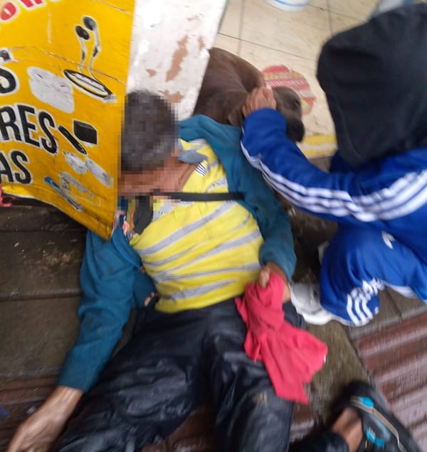 Amor y lealtad en medio de una tragedia callejera: perrita nunca se alejó del cadáver de su amo