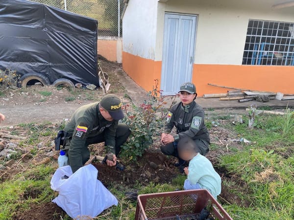 En el Tambo, Nariño, policías llevaron a cabo una jornada de siembra de árboles