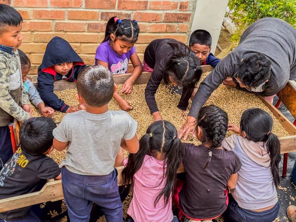Proyecto “Escuela y Café” del Cauca participará en feria nacional en Bogotá