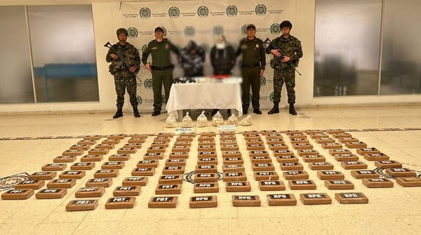 Desmantelan red contra el narcotráfico en el departamento de Nariño