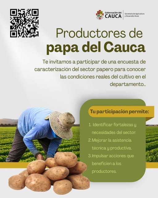 ¡Atención productores de papa del Cauca! Esta es información para ustedes