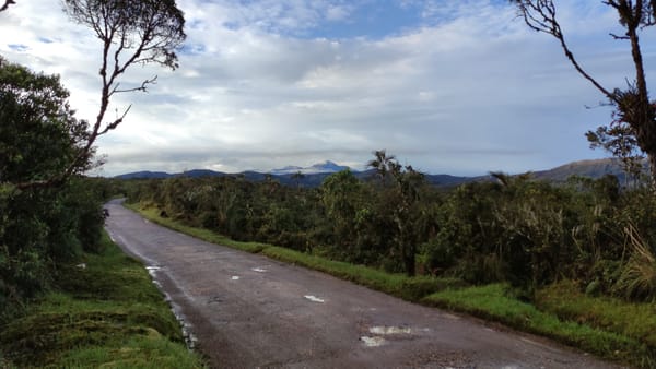 Luz verde ambiental para pavimentar 30 km del Corredor del Paletará - Huila