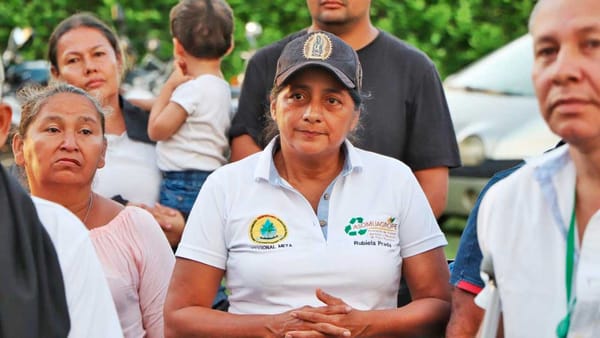 465 hectáreas de tierra para 200 familias campesinas y étnicas del Meta