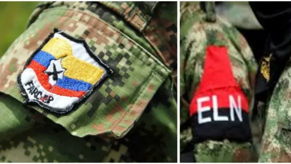 ELN y Disidencias anunciaron cese al fuego para el fin de año: Min Defensa seguirá con las operaciones en su contra