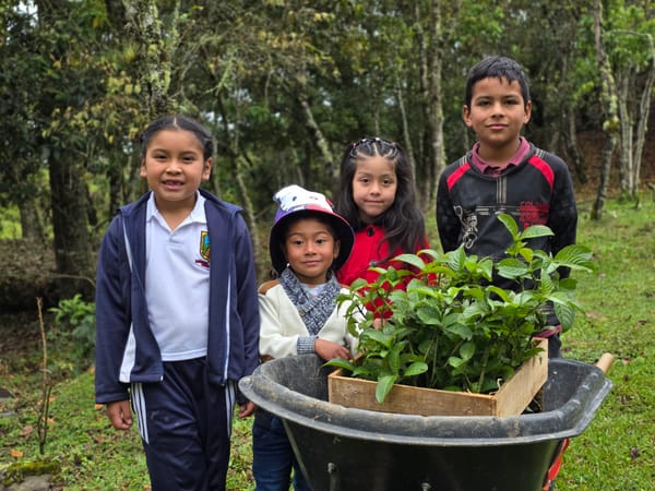 Gobernación del Cauca fortalece la reforestación y huertas escolares en Sotará
