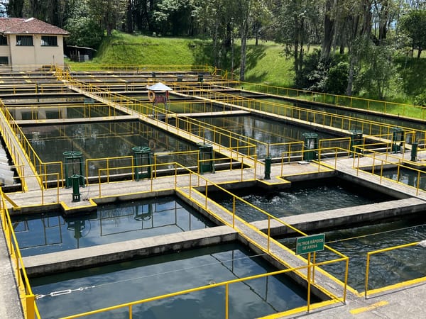 AAPSA confirma normalidad en el agua de Popayán y desmiente contaminación por el volcán Puracé