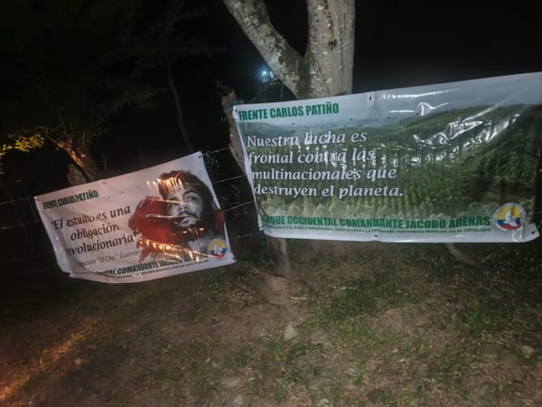 Continúa la guerra propagandística de las disidencias de las Farc en el Cauca: aparecen pancartas de esta guerrilla en El Patía
