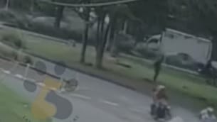 Popayán no puede guardar silencio: indignación por brutal caso de maltrato animal en La Piedra Sur