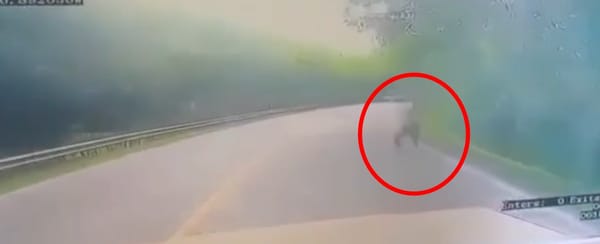 Video revela momento exacto del ataque a carro de valores en la vía Panamericana, en el sur del Cauca